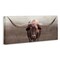 Stupell Industries Rustic Western Longhorn Canvas Design by Carol Robinson